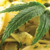 Marijuana Leaf on Pesto Fettucine